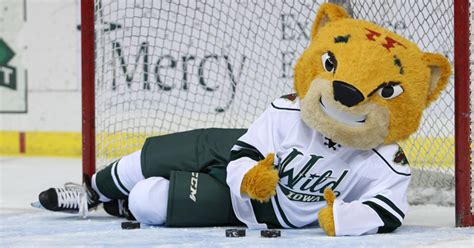 Inside the Iowa Wild Mascot Tryouts: Looking for the Perfect Performer